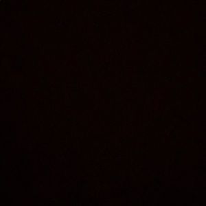 Meet your Posher, Antonio